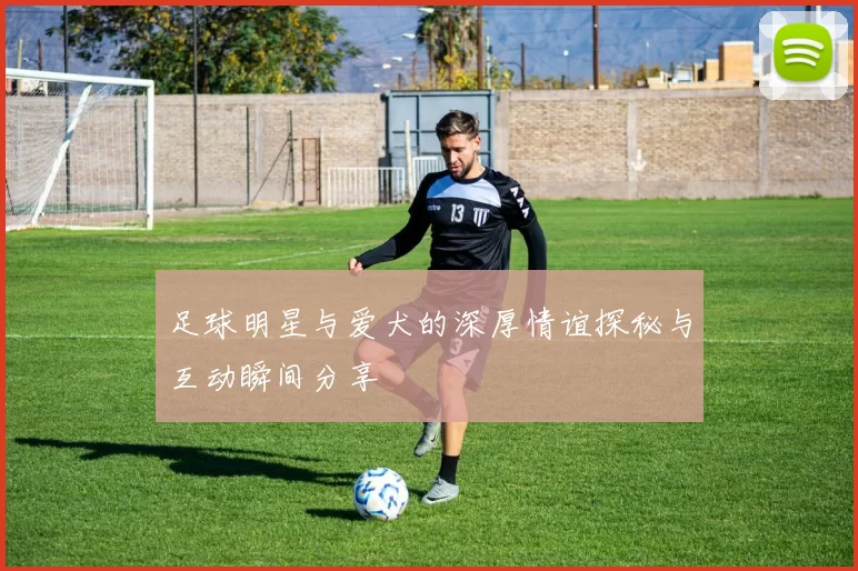 足球明星与爱犬的深厚情谊探秘与互动瞬间分享