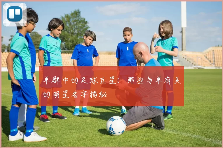 羊群中的足球巨星：那些与羊有关的明星名字揭秘