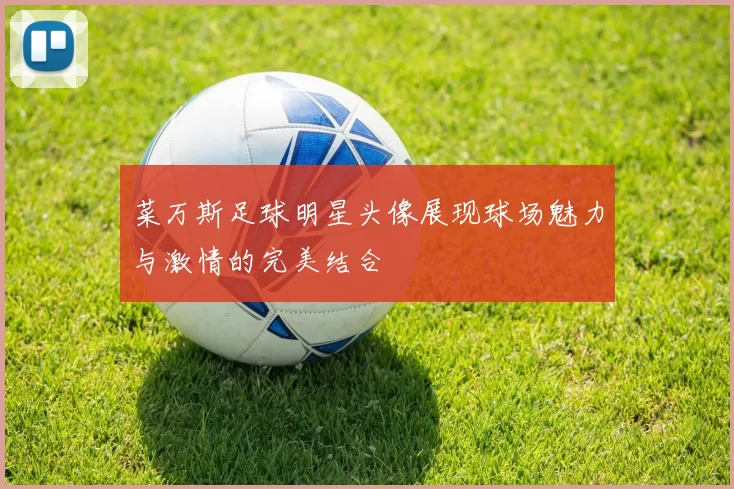 菜万斯足球明星头像展现球场魅力与激情的完美结合