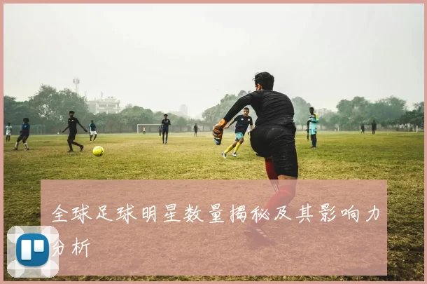 全球足球明星数量揭秘及其影响力分析