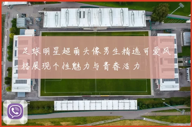 足球明星超萌头像男生精选可爱风格展现个性魅力与青春活力