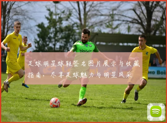 足球明星球鞋签名图片展示与收藏指南，尽享足球魅力与明星风采