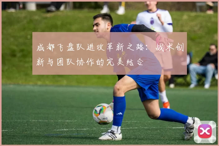 成都飞盘队进攻革新之路：战术创新与团队协作的完美结合