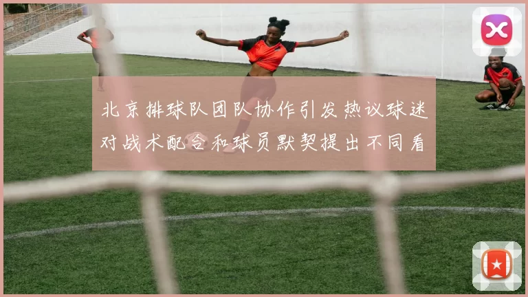 北京排球队团队协作引发热议球迷对战术配合和球员默契提出不同看法