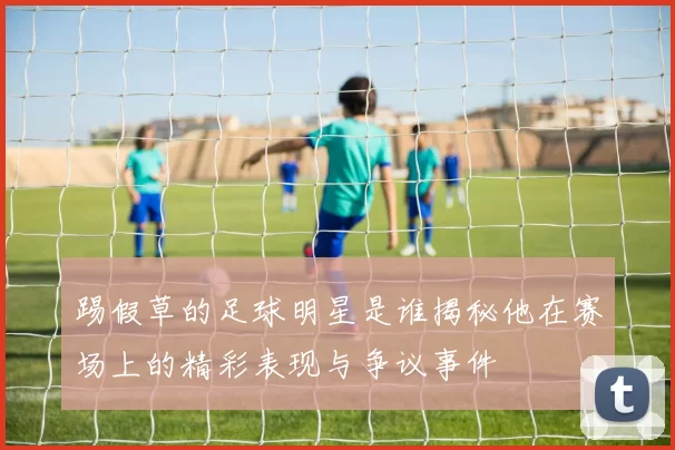 踢假草的足球明星是谁揭秘他在赛场上的精彩表现与争议事件