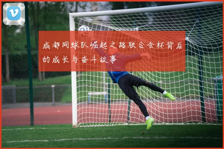 成都网球队崛起之路联合会杯背后的成长与奋斗故事