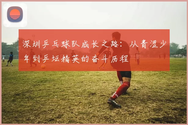 深圳乒乓球队成长之路：从青涩少年到乒坛精英的奋斗历程