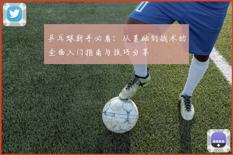 乒乓球新手必看：从基础到战术的全面入门指南与技巧分享