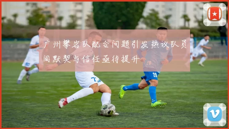 广州攀岩队配合问题引发热议队员间默契与信任亟待提升