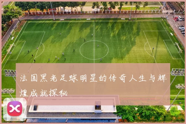 法国黑老足球明星的传奇人生与辉煌成就探秘