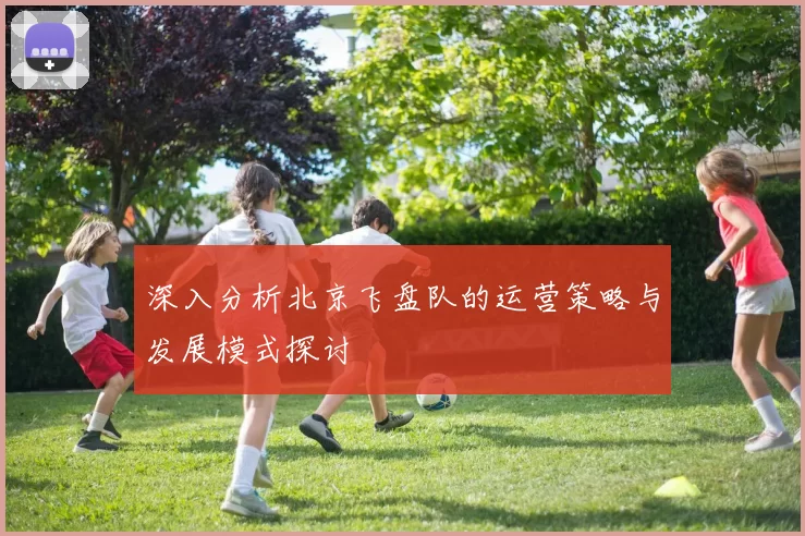 深入分析北京飞盘队的运营策略与发展模式探讨