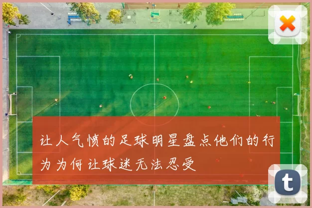 让人气愤的足球明星盘点他们的行为为何让球迷无法忍受
