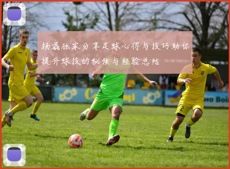 杨磊独家分享足球心得与技巧助你提升球技的秘诀与经验总结