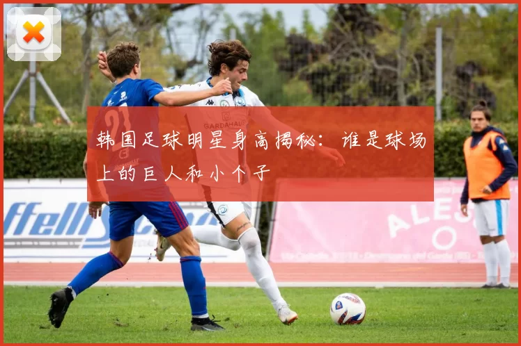 韩国足球明星身高揭秘：谁是球场上的巨人和小个子