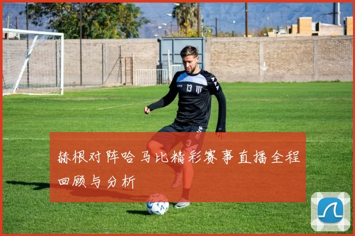 赫根对阵哈马比精彩赛事直播全程回顾与分析