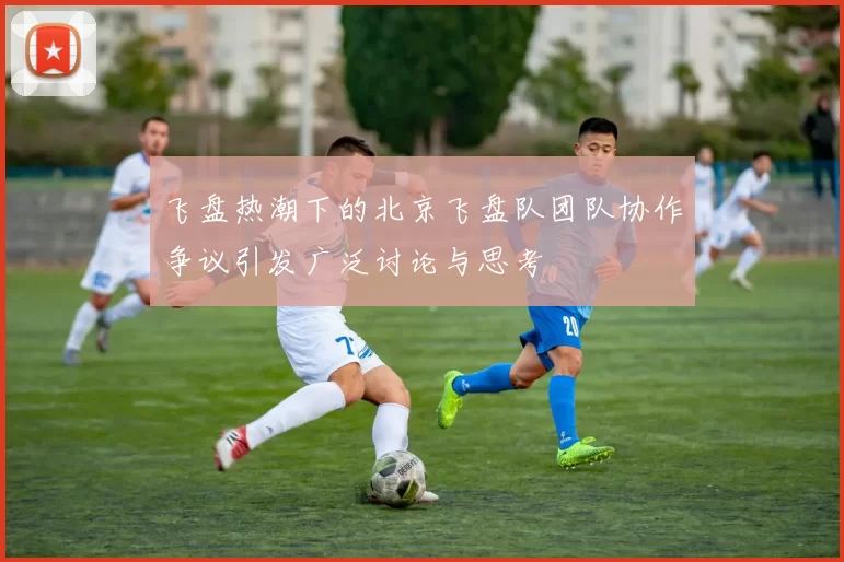 飞盘热潮下的北京飞盘队团队协作争议引发广泛讨论与思考