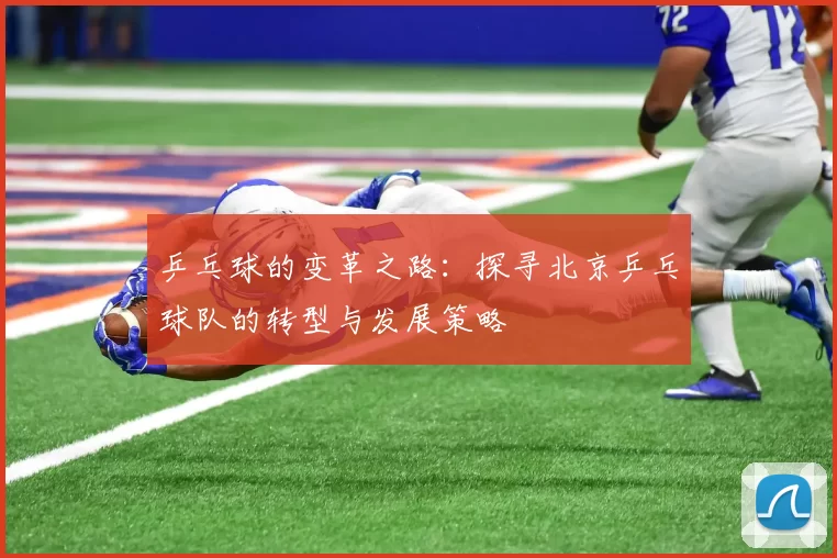 乒乓球的变革之路：探寻北京乒乓球队的转型与发展策略