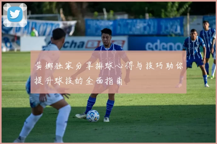 黄娜独家分享排球心得与技巧助你提升球技的全面指南