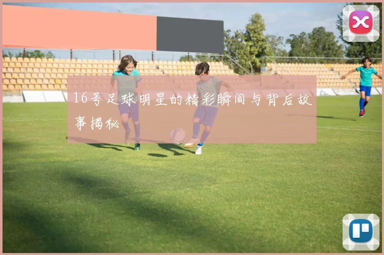 16号足球明星的精彩瞬间与背后故事揭秘