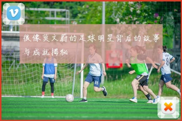 很像莫文蔚的足球明星背后的故事与成就揭秘